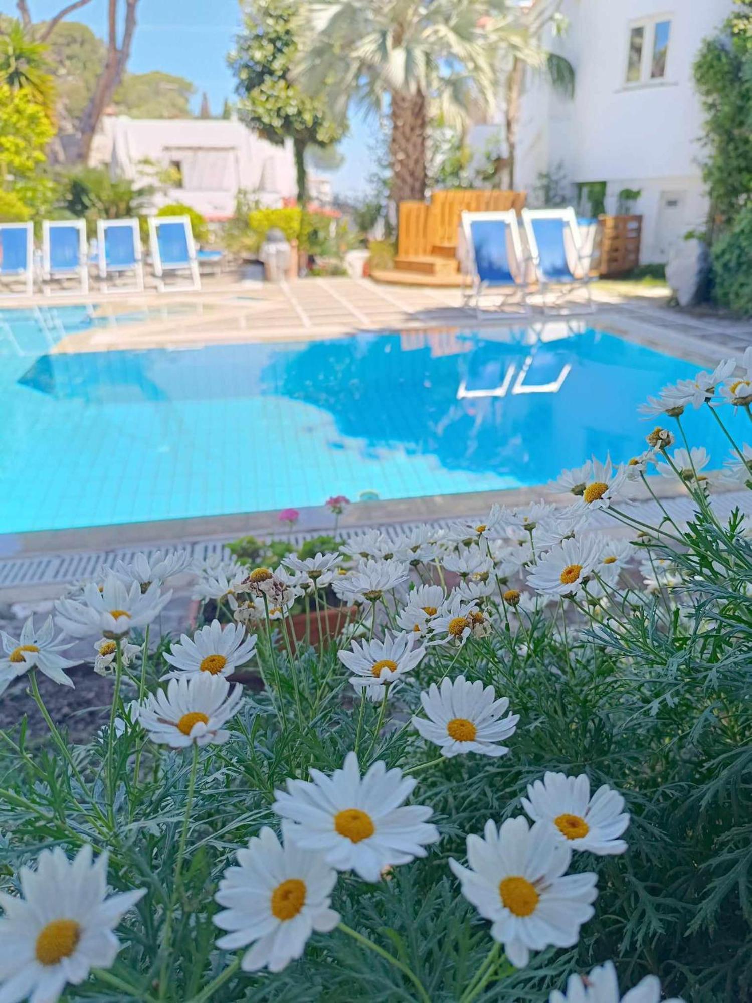 Villa Cinque Pini Casamicciola Terme ภายนอก รูปภาพ