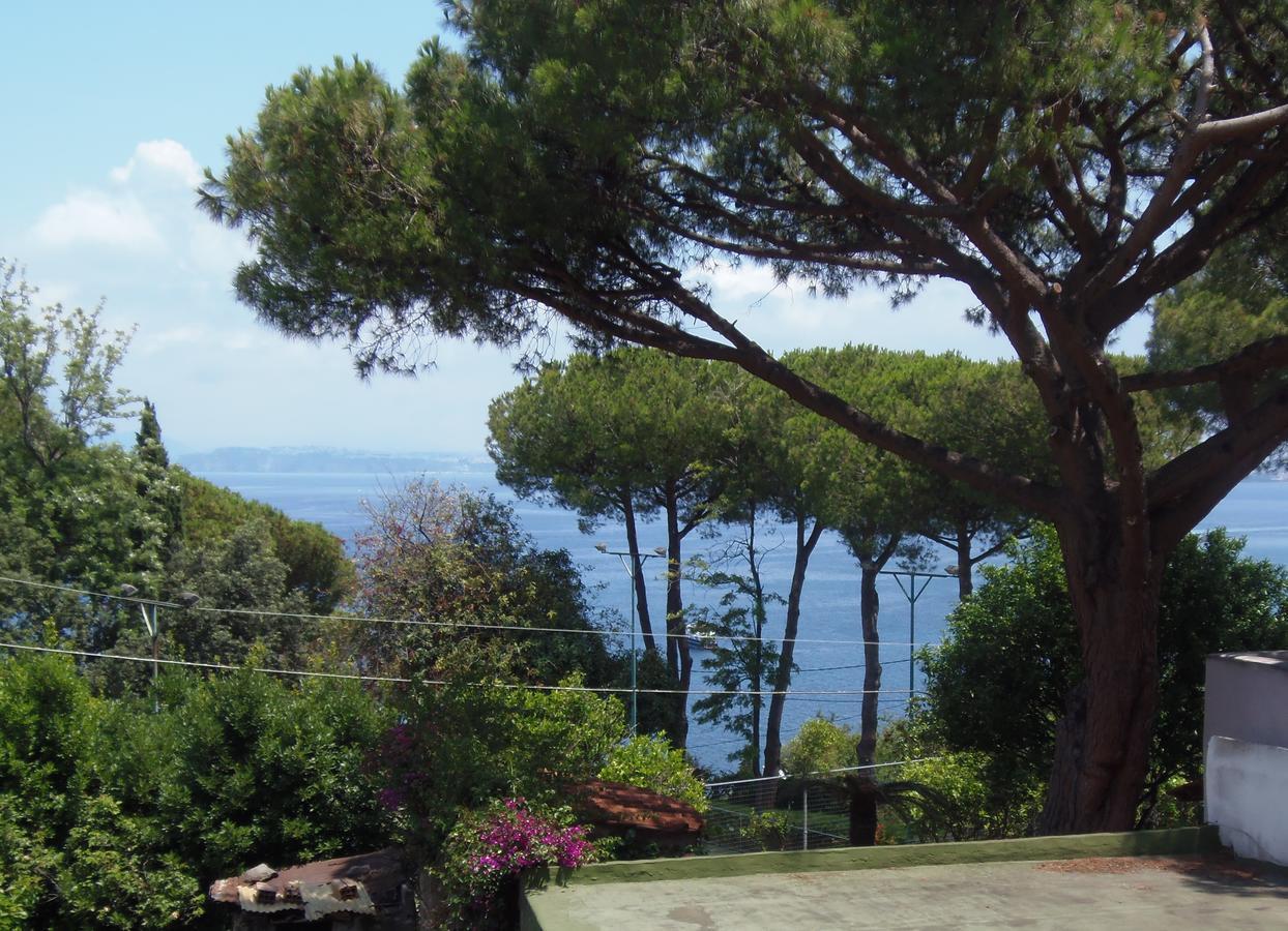 Villa Cinque Pini Casamicciola Terme ภายนอก รูปภาพ